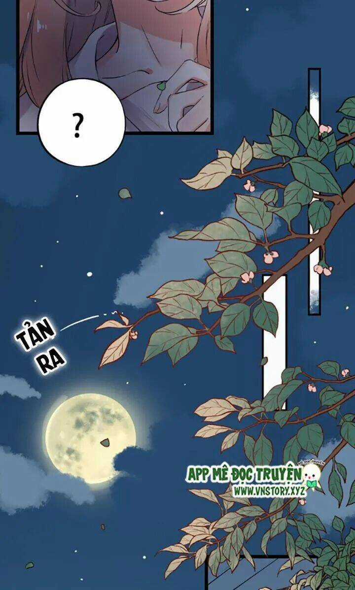 Trạch Thượng Tịch Mịch Huỳnh Hỏa Chapter 33 trang 12