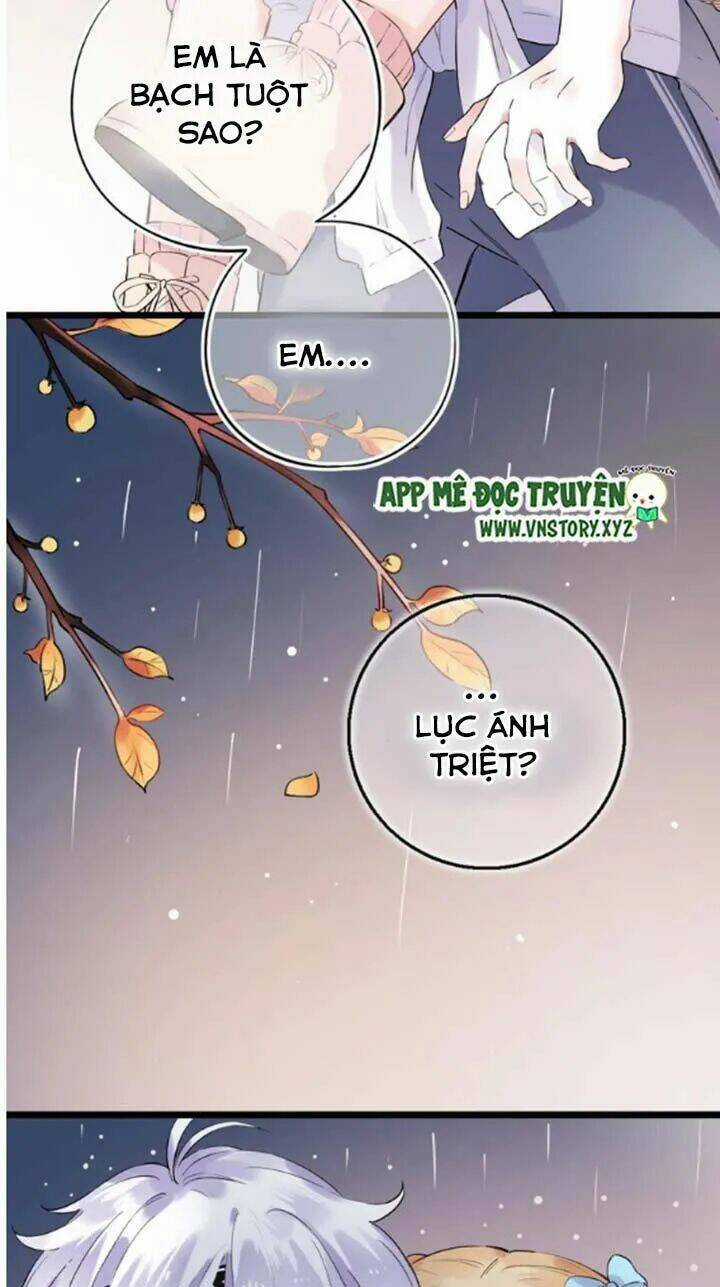 Trạch Thượng Tịch Mịch Huỳnh Hỏa Chapter 40 trang 14