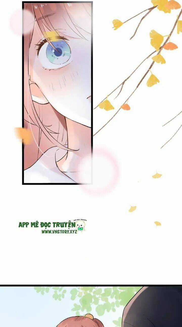 Trạch Thượng Tịch Mịch Huỳnh Hỏa Chapter 44 trang 6