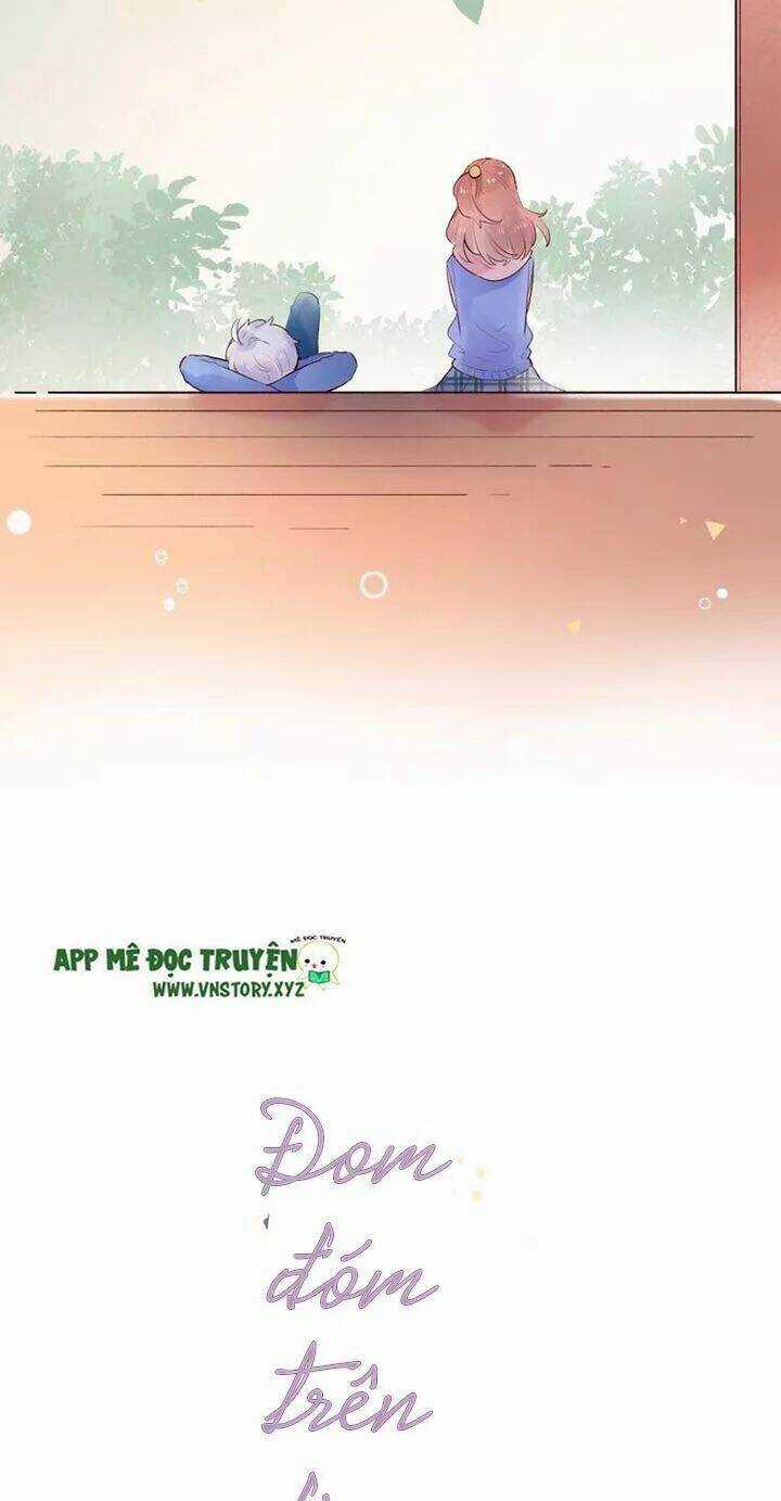 Trạch Thượng Tịch Mịch Huỳnh Hỏa Chapter 61 trang 5