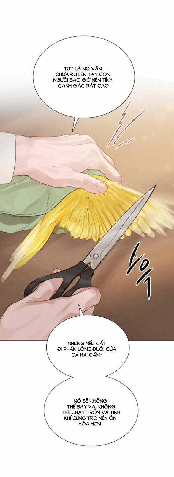 Trái Tim Của Thomas Chapter 11.2 trang 13