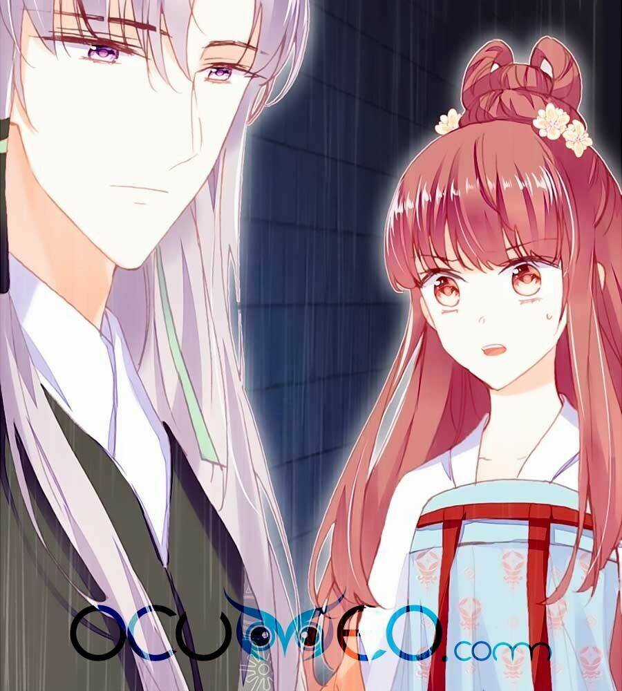 Trẫm Cũng Không Muốn Quá Khí Phách Chapter 49 trang 3