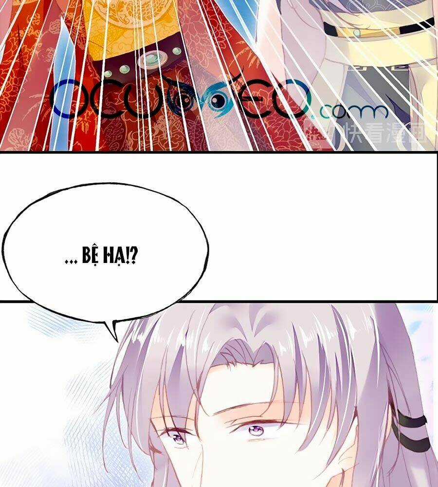 Trẫm Cũng Không Muốn Quá Khí Phách Chapter 50 trang 42