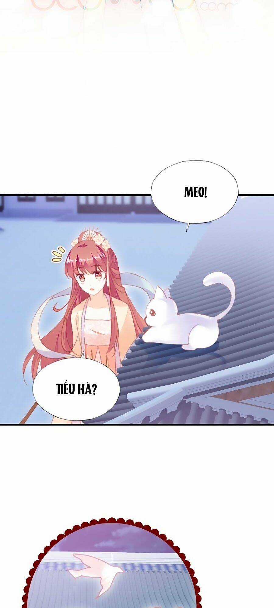 Trẫm Cũng Không Muốn Quá Khí Phách Chapter 60 trang 12