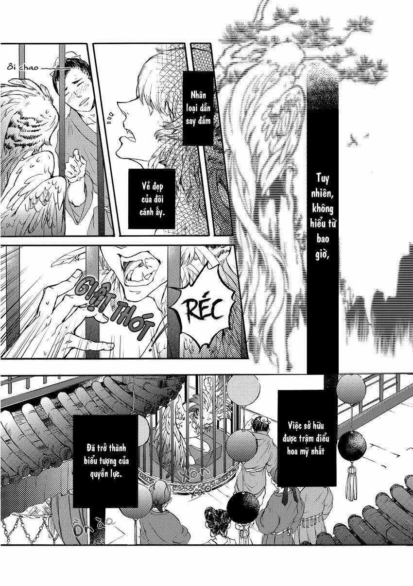 Trậm Điểu Chapter 1 trang 10