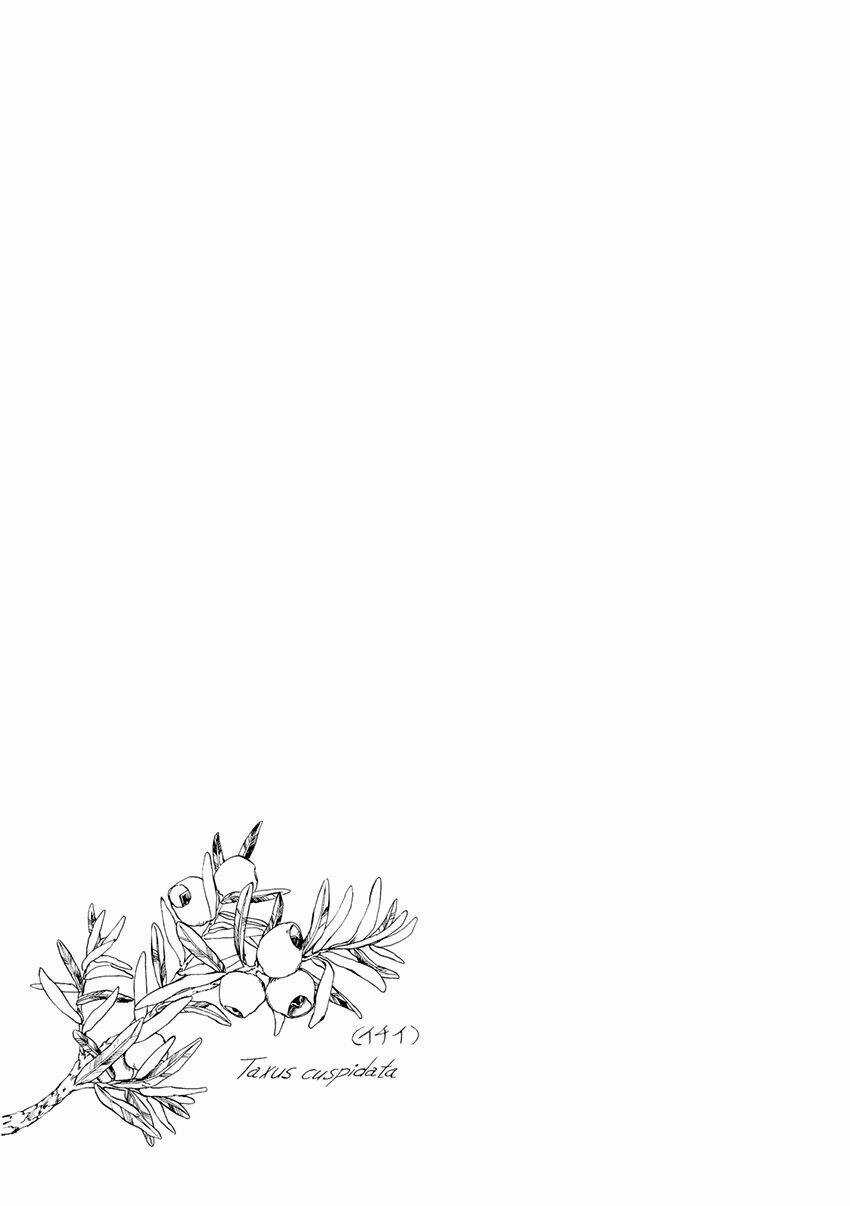 Trậm Điểu Chapter 4 trang 30