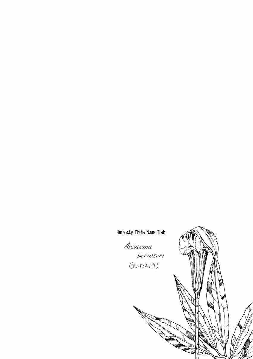 Trậm Điểu Chapter 6 trang 11