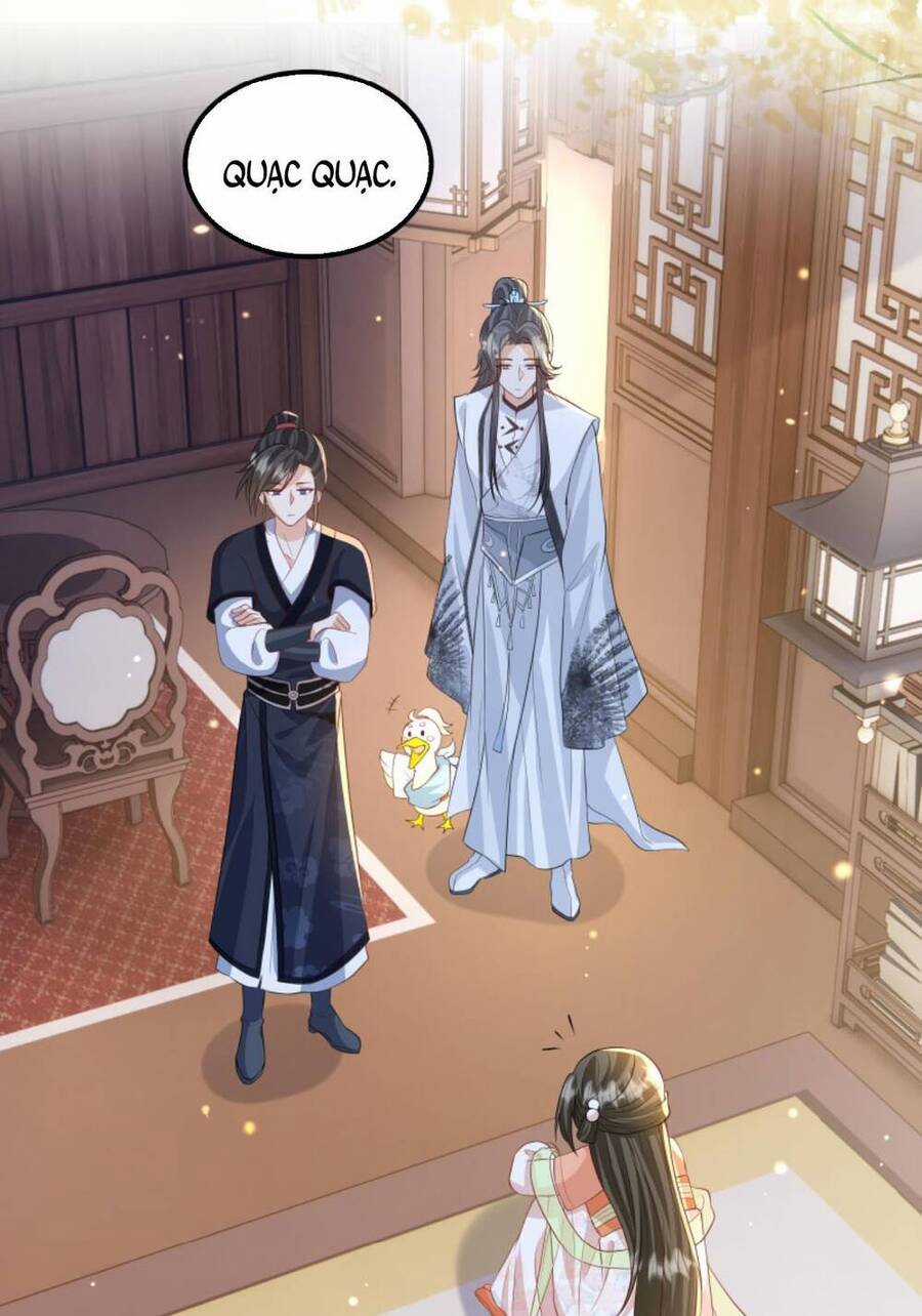 trăm kiếp luân hồi, kiếp này ta chỉ muốn lười biếng Chapter 124 trang 13