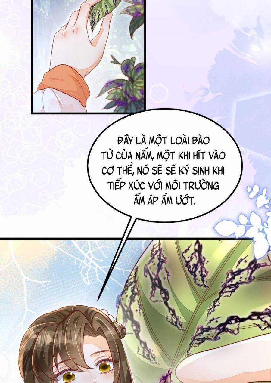 trăm kiếp luân hồi, kiếp này ta chỉ muốn lười biếng Chapter 124 trang 23