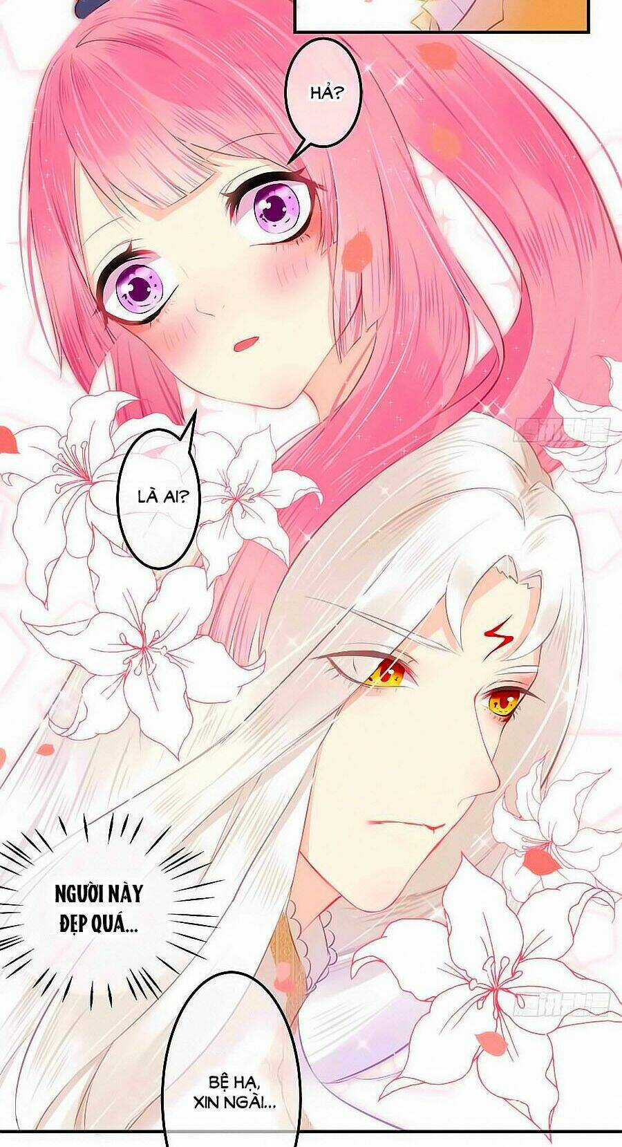 Trẫm Quyết Định Giải Tán Hậu Cung Chapter 1 trang 23