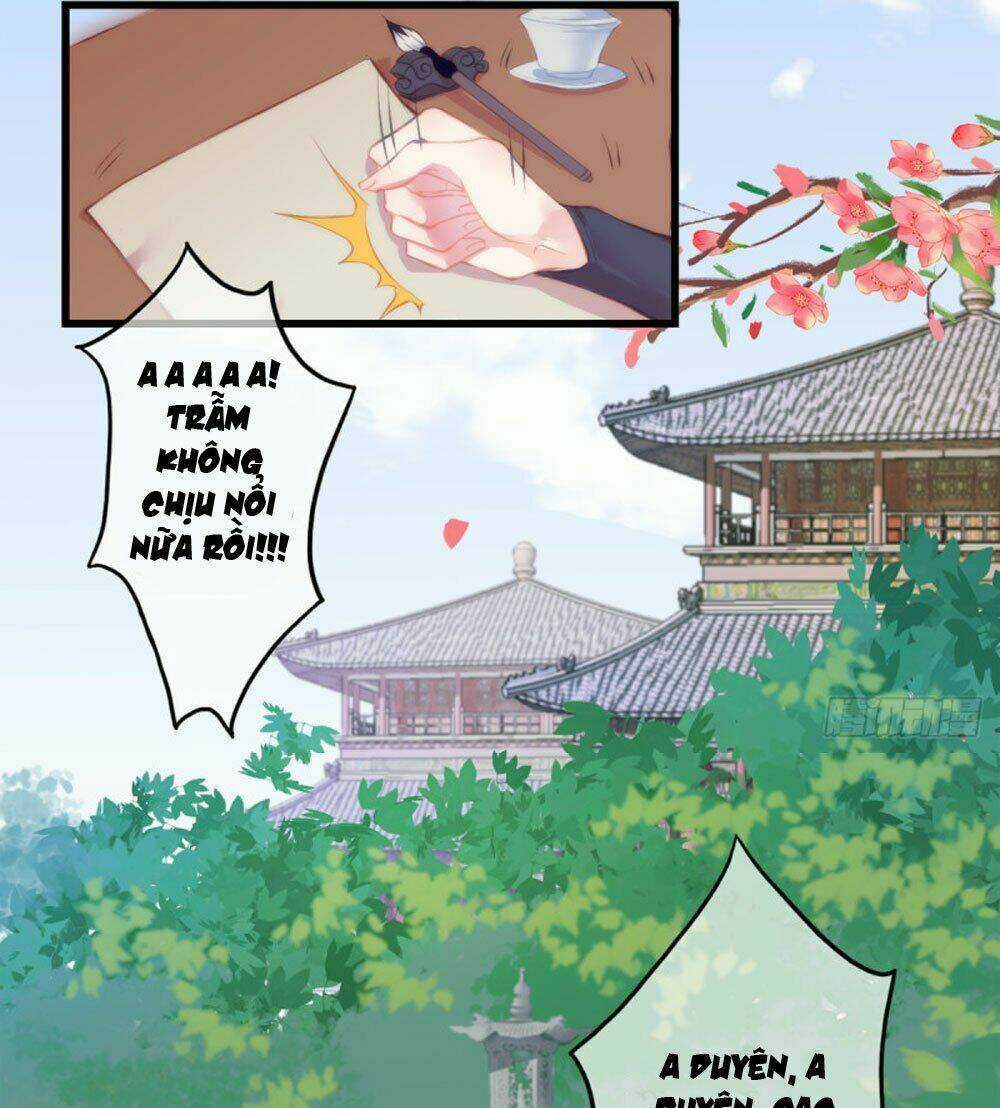 Trẫm Quyết Định Giải Tán Hậu Cung Chapter 3 trang 12