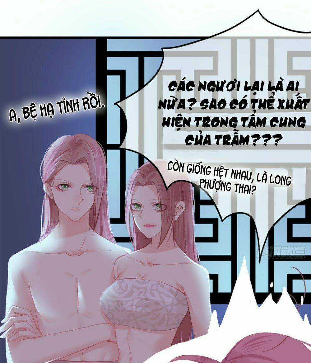 Trẫm Quyết Định Giải Tán Hậu Cung Chapter 3 trang 42