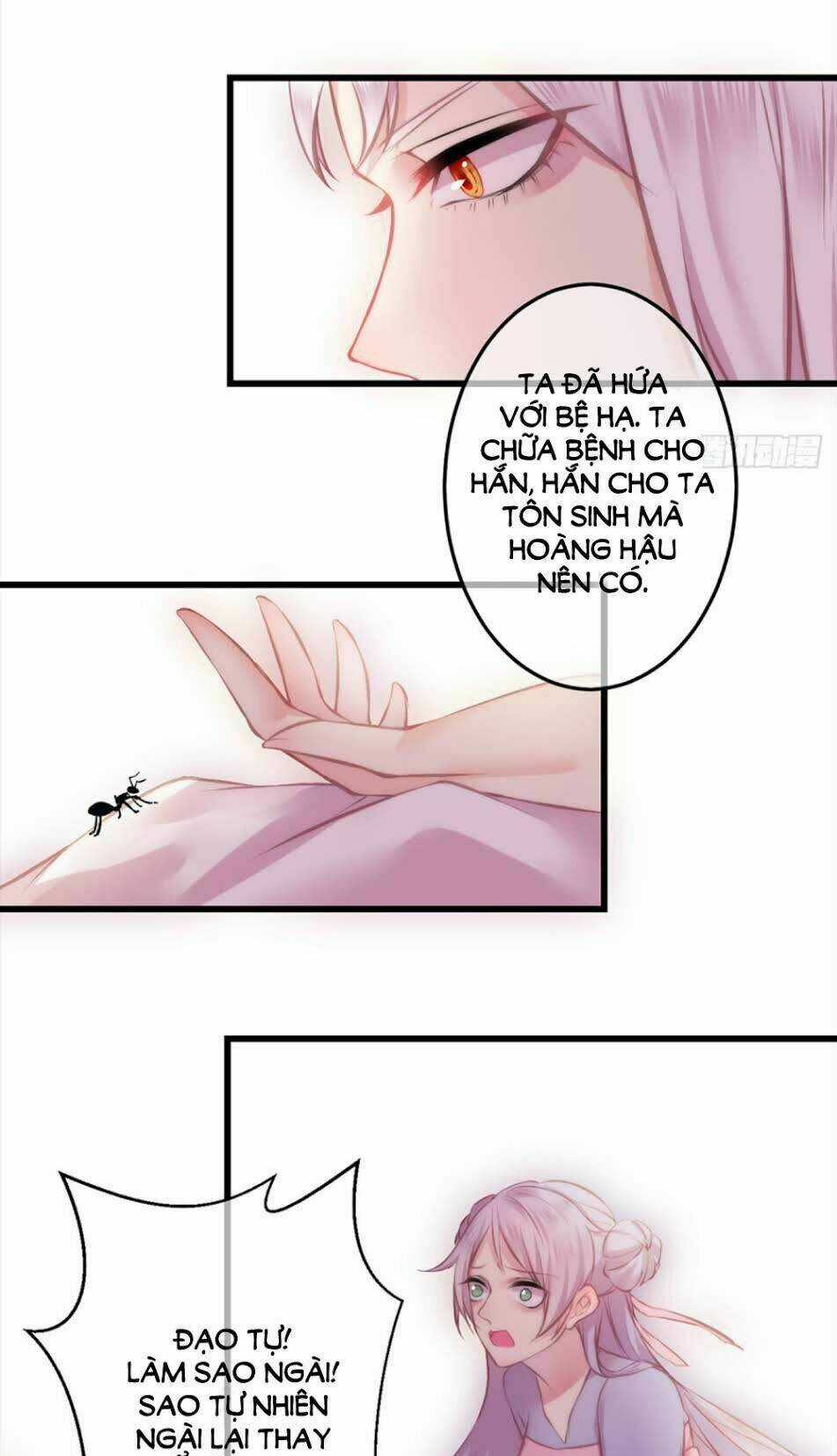 Trẫm Quyết Định Giải Tán Hậu Cung Chapter 6 trang 41