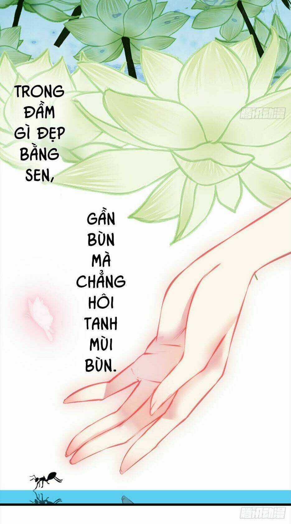 Trẫm Quyết Định Giải Tán Hậu Cung Chapter 6 trang 48