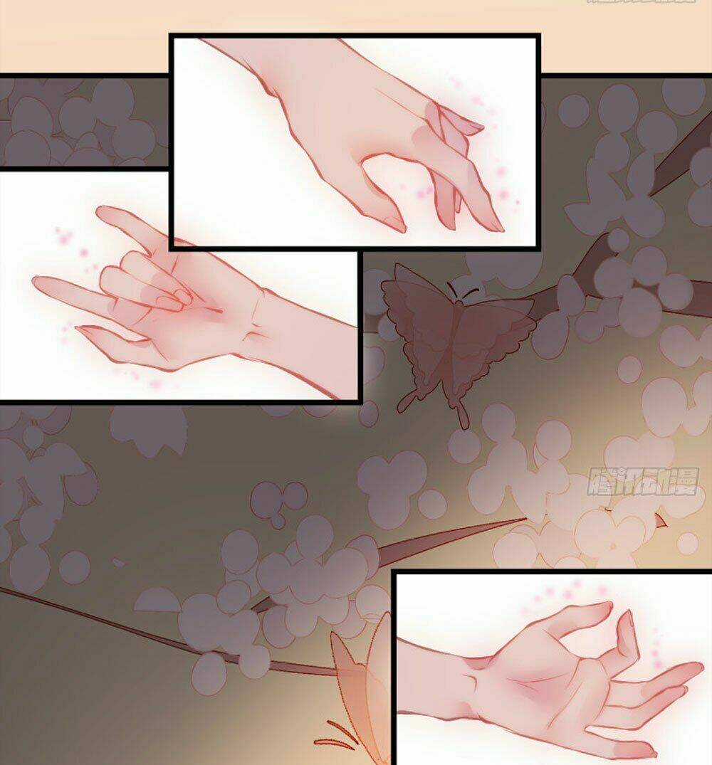 Trẫm Quyết Định Giải Tán Hậu Cung Chapter 6 trang 5