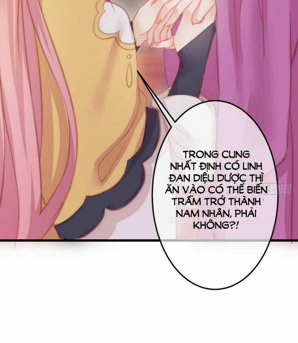 Trẫm Quyết Định Giải Tán Hậu Cung Chapter 7 trang 14