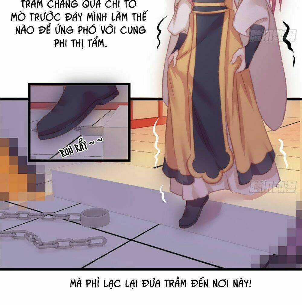 Trẫm Quyết Định Giải Tán Hậu Cung Chapter 7 trang 17