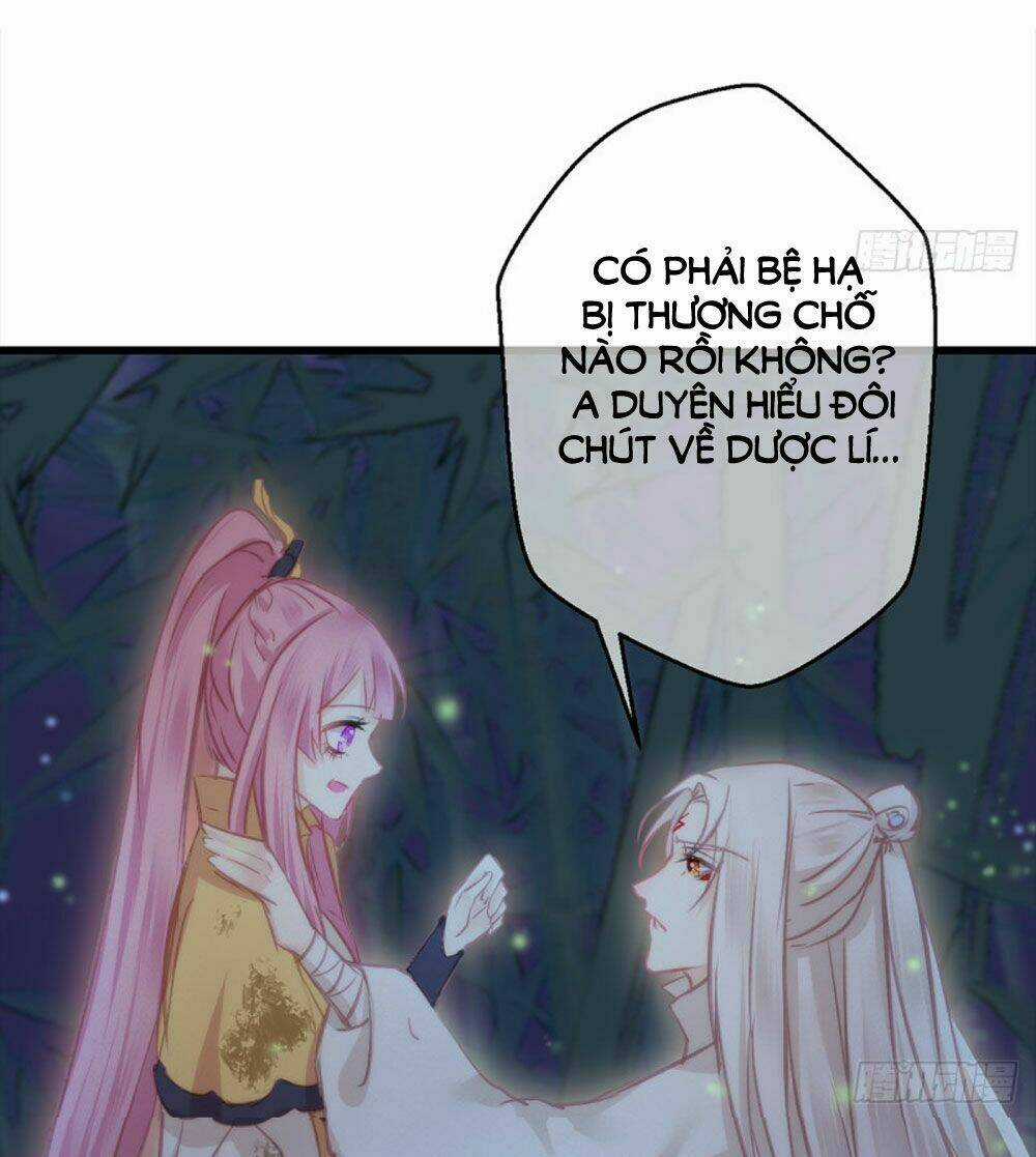 Trẫm Quyết Định Giải Tán Hậu Cung Chapter 8 trang 12