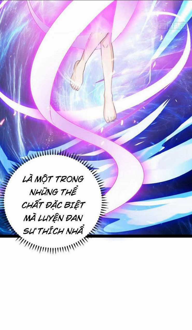 Trăm Tuổi Mở Hệ Thống, Hiếu Tử Hiền Tôn Quỳ Khắp Núi! Chapter 45 trang 33