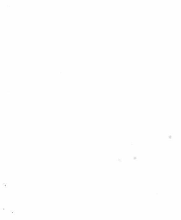 Trăng Tối: Kỉ Nguyên Máu Chapter 67.1 trang 36