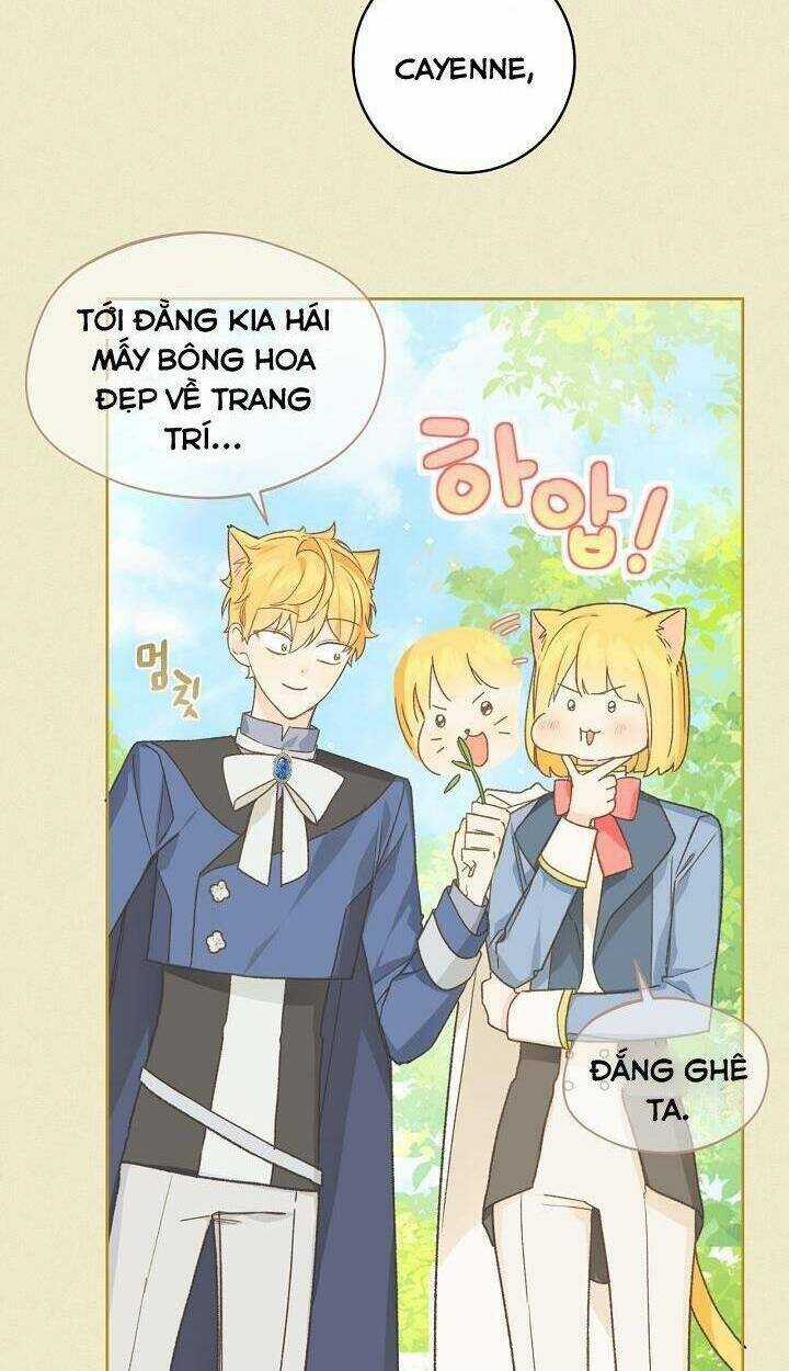 Trang Trại Hạt Dẻ Gần Cung Điện Hoàng Gia Chapter 32 trang 7