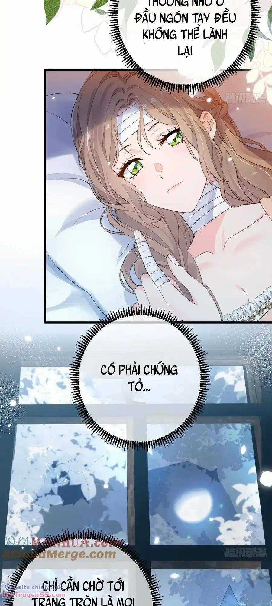 Trăng Tròn Chia Hoan Chapter 11 trang 35