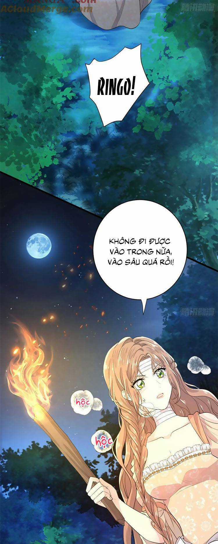 Trăng Tròn Chia Hoan Chapter 19 trang 13