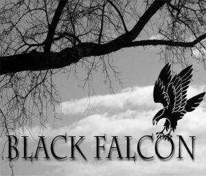 Transfer Student Storm Bringer Chapter 27 trang 17