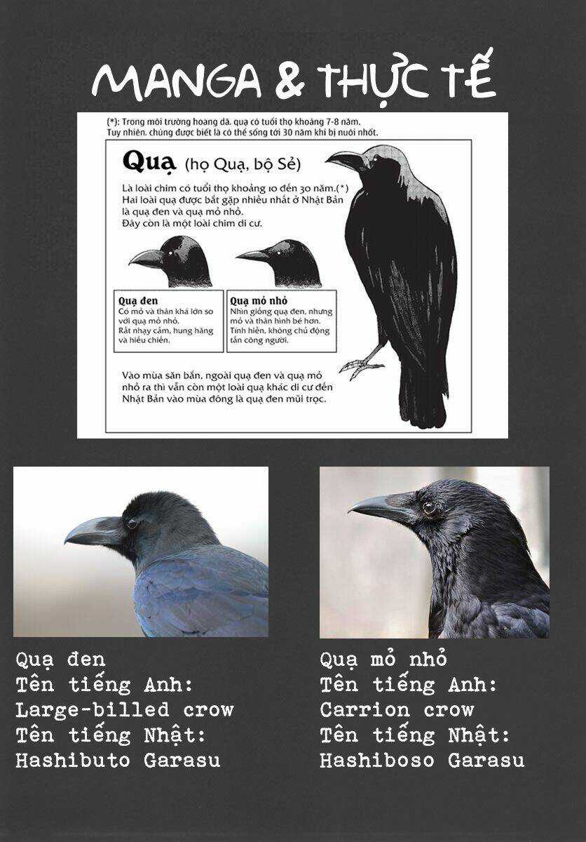 Trap Girl Chapter 6 trang 32