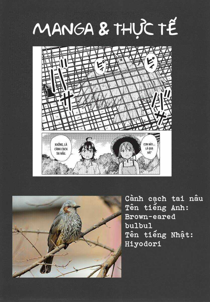 Trap Girl Chapter 6 trang 33