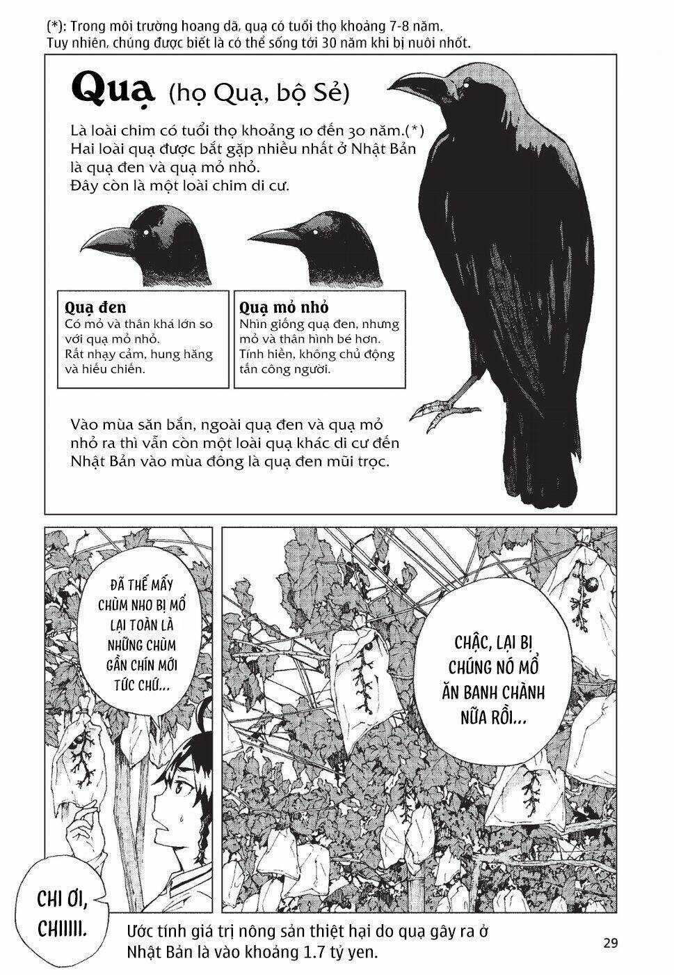 Trap Girl Chapter 6 trang 4