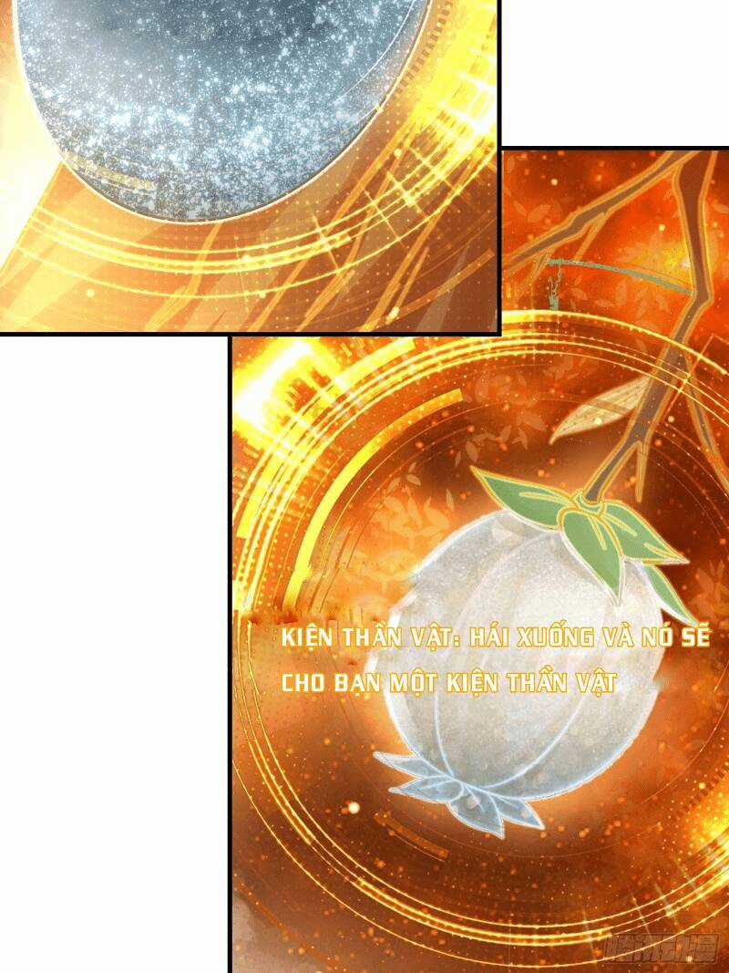 Trên Người Ta Có Một Cái Cây Thần Thoại Chapter 2 trang 12