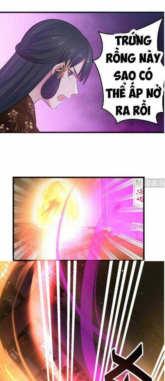 Trên Người Ta Có Một Con Rồng Chapter 1 trang 13