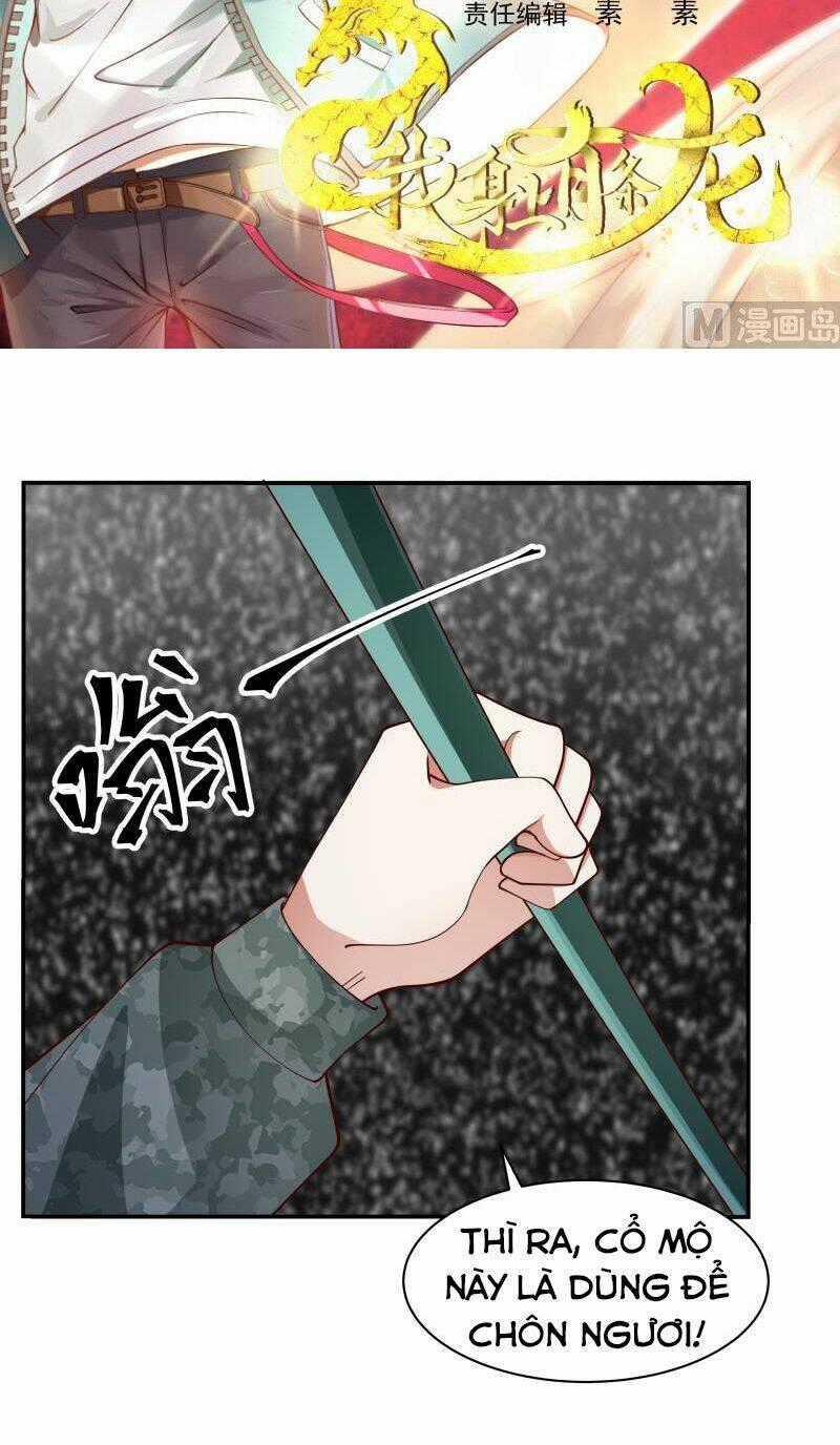 Trên Người Ta Có Một Con Rồng Chapter 493 trang 1