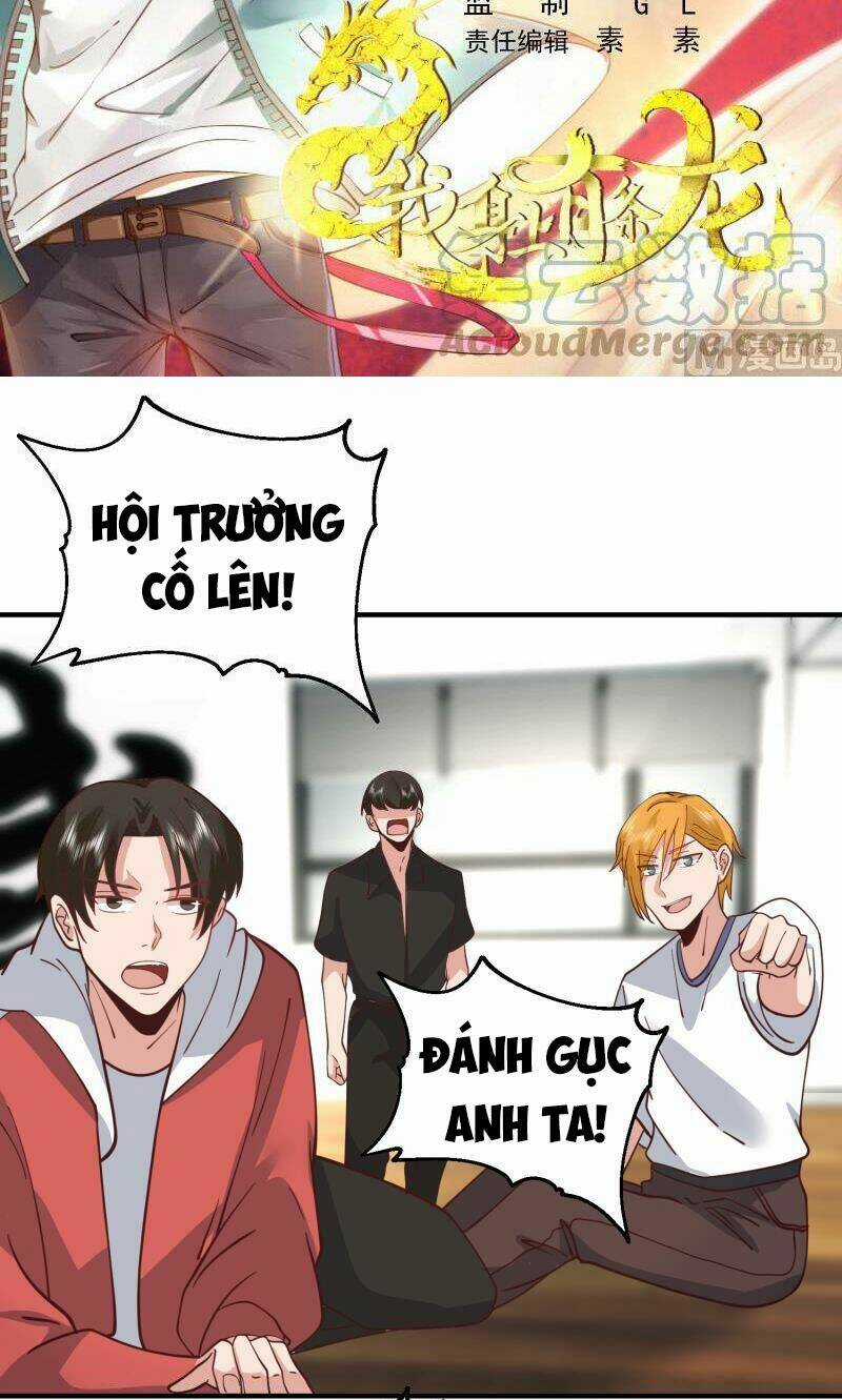 Trên Người Ta Có Một Con Rồng Chapter 509 trang 1