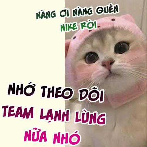 Trêu Nhầm Chapter 53 trang 8