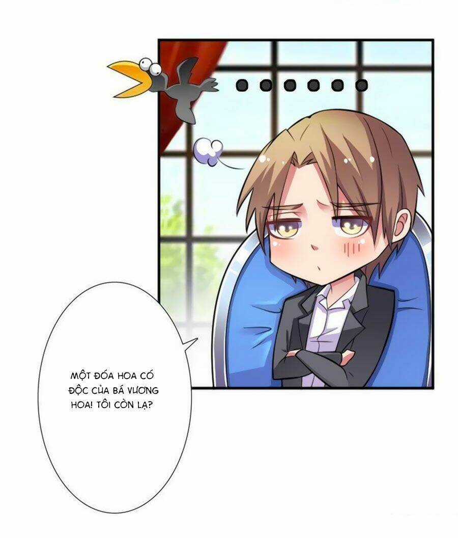 Trí Mệnh Sủng Thê: Tổng Tài Mau Nạp Mạng Chapter 18 trang 12