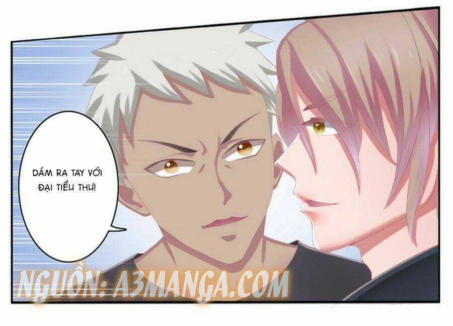 Trí Mệnh Sủng Thê: Tổng Tài Mau Nạp Mạng Chapter 3 trang 4