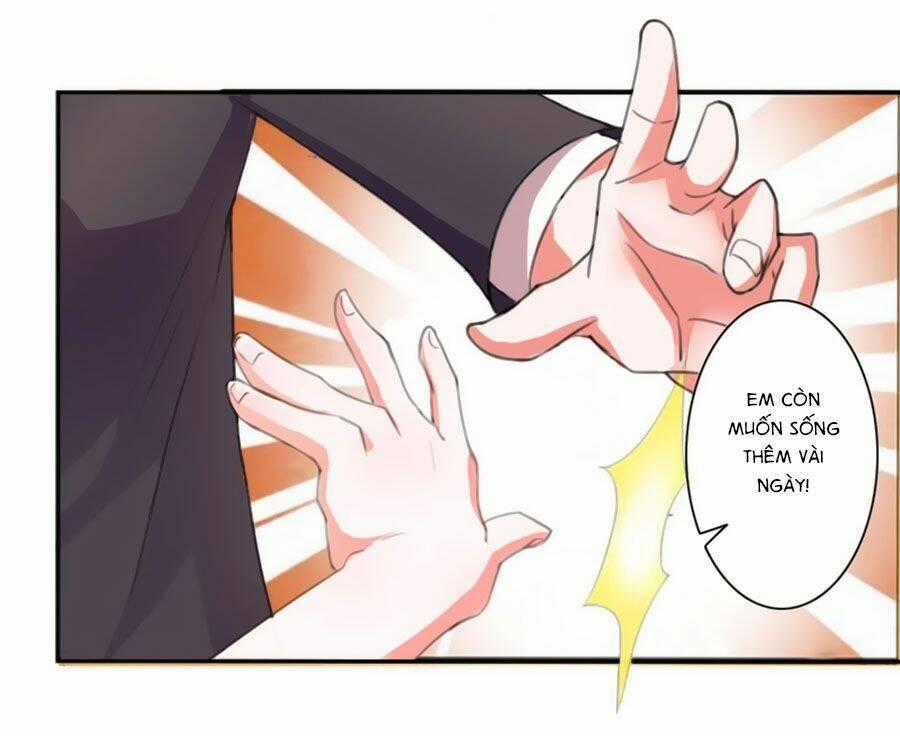 Trí Mệnh Sủng Thê: Tổng Tài Mau Nạp Mạng Chapter 5 trang 13