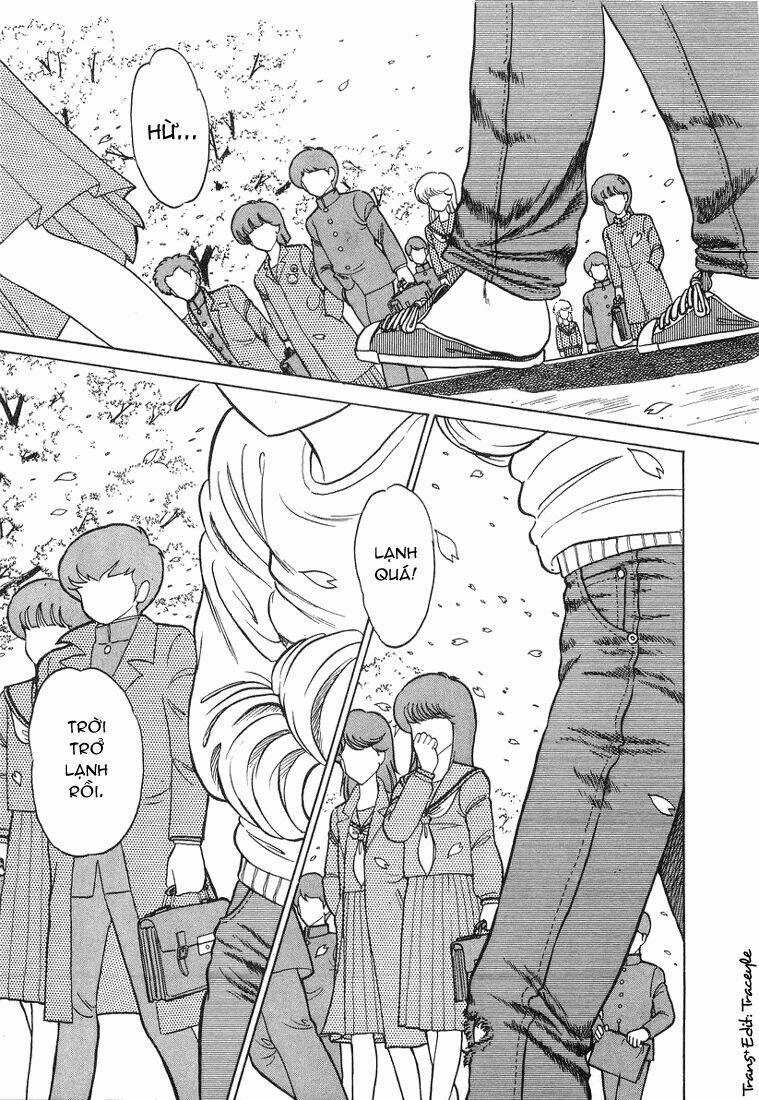 Trick Ster Chapter 1 trang 1