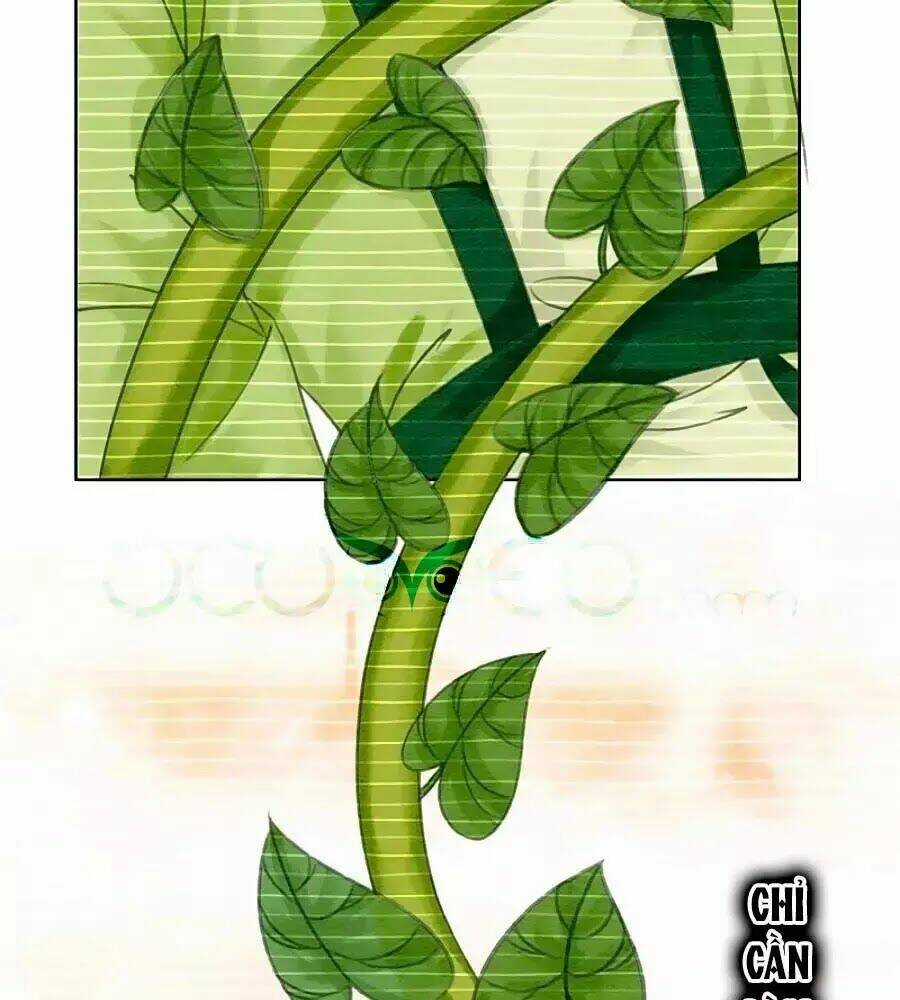 Triều Đình Có Yêu Khí Chapter 19 trang 25