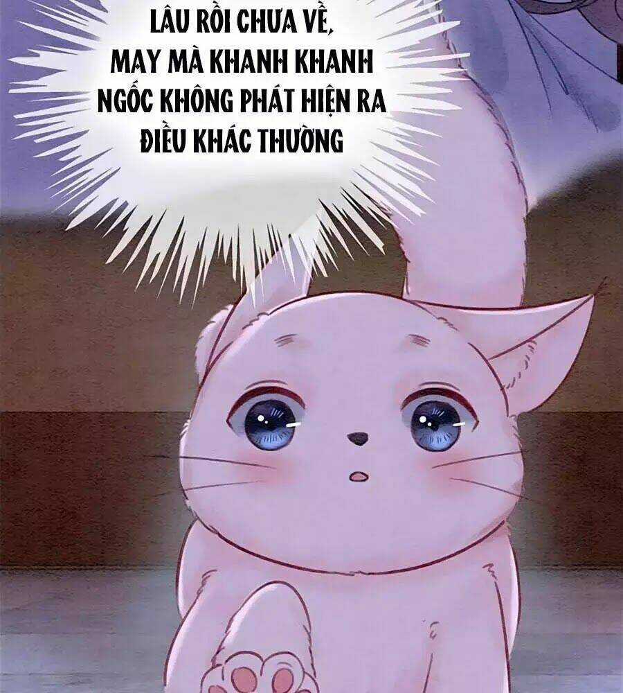 Triều Đình Có Yêu Khí Chapter 28 trang 4