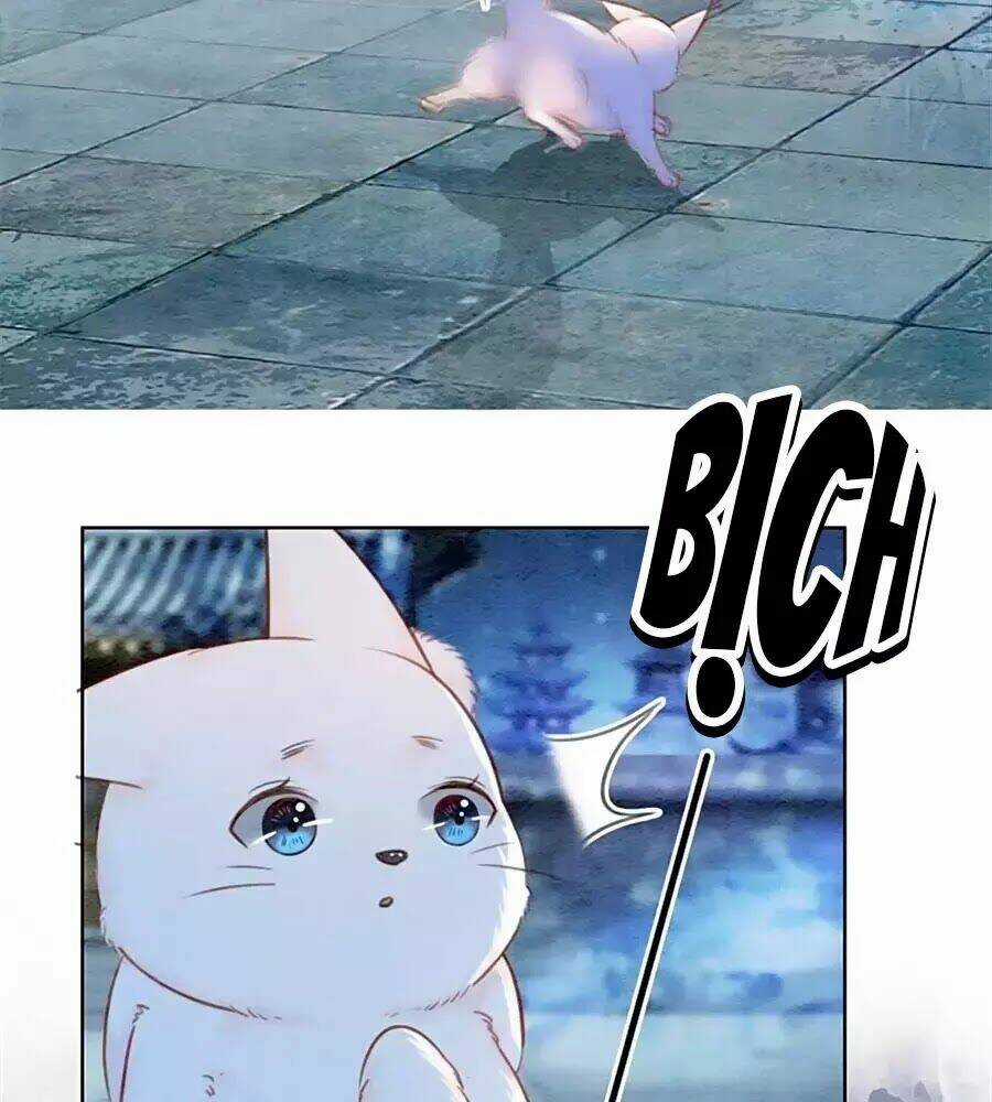 Triều Đình Có Yêu Khí Chapter 33 trang 11