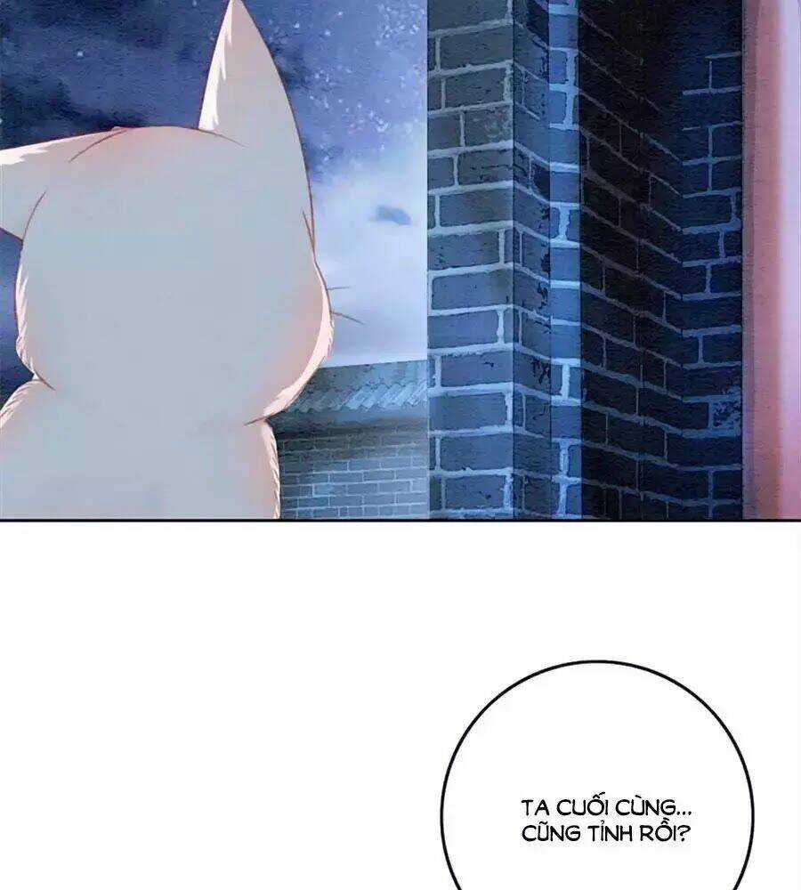 Triều Đình Có Yêu Khí Chapter 33 trang 13