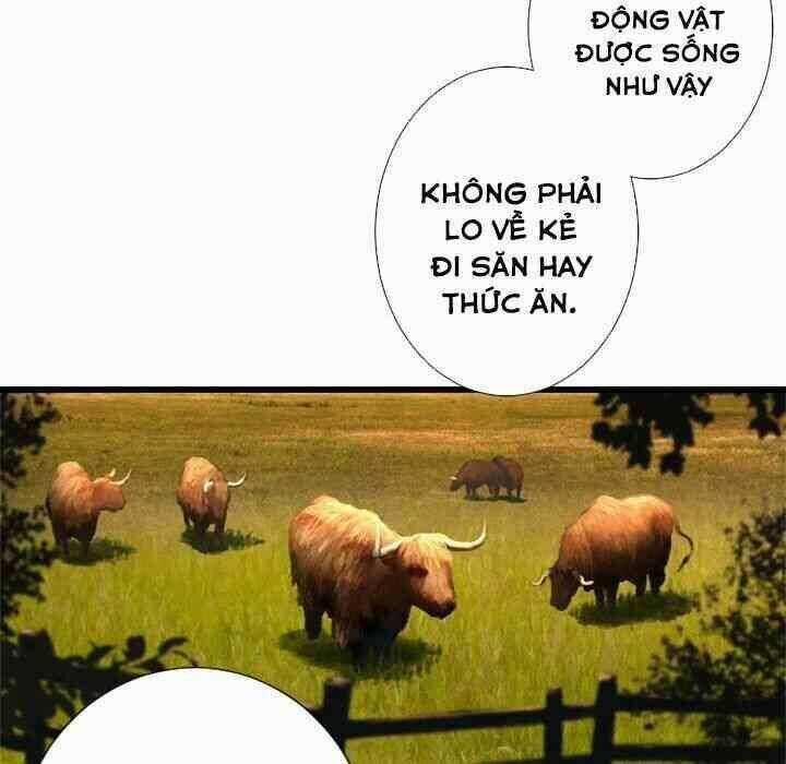 Triệu Hồi Đến Thế Giới Fantasy Chapter 13 trang 42