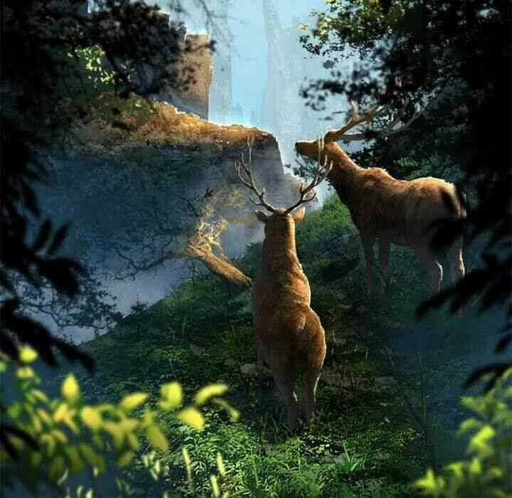 Triệu Hồi Đến Thế Giới Fantasy Chapter 20 trang 41