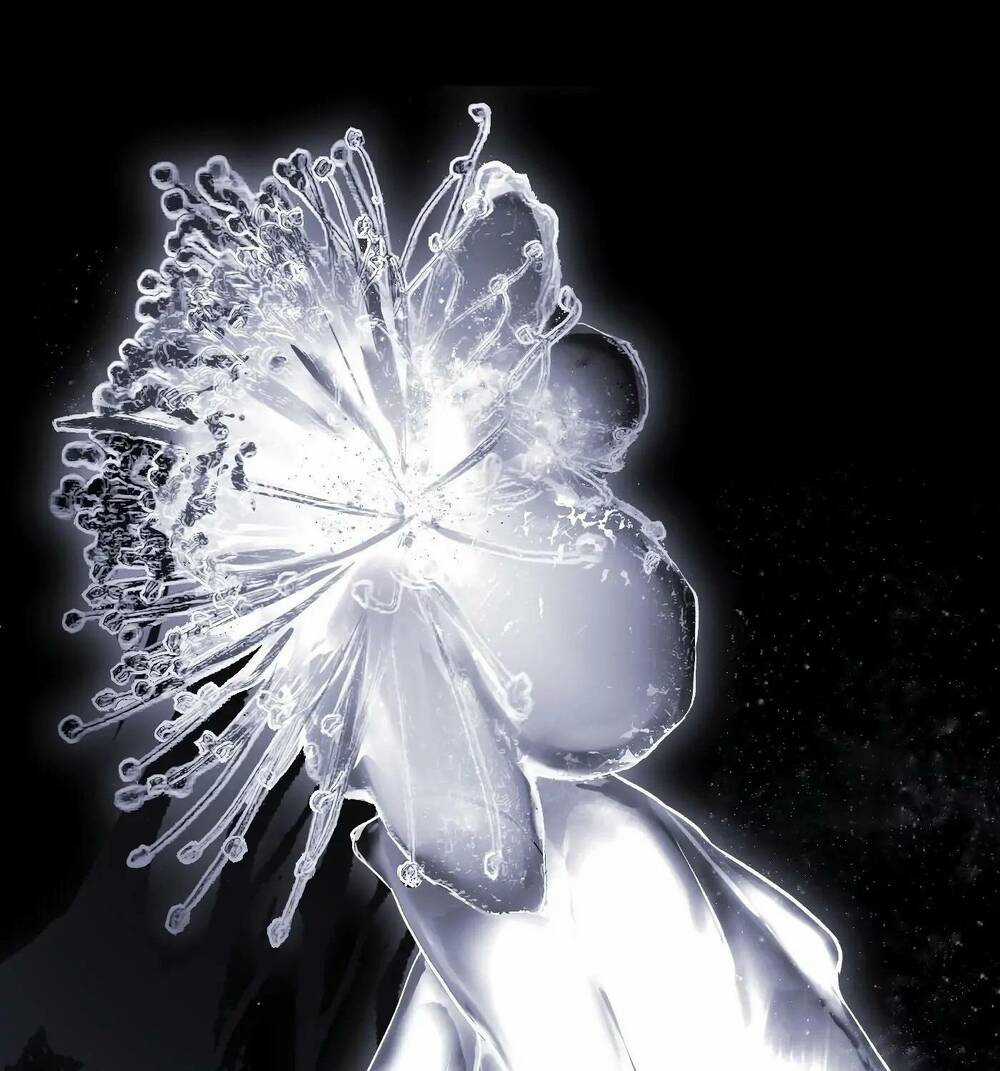 Trinh Thám Vlog Chapter 37 trang 2