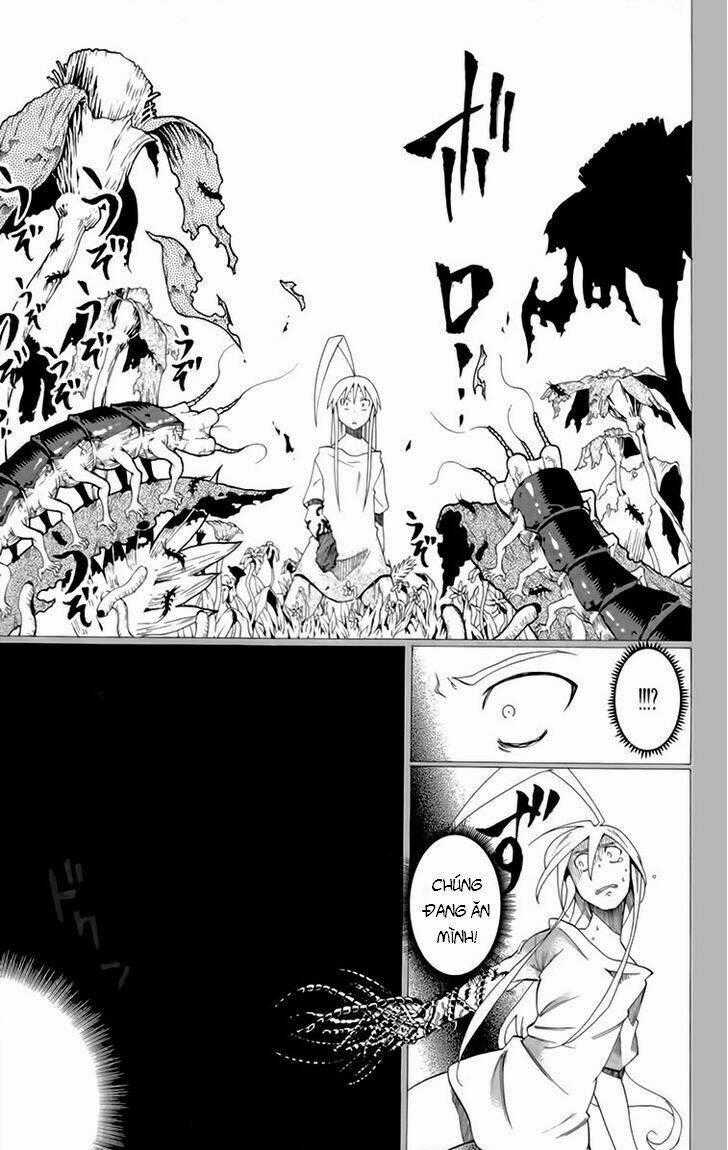 Tripeace Chapter 18.2 trang 11