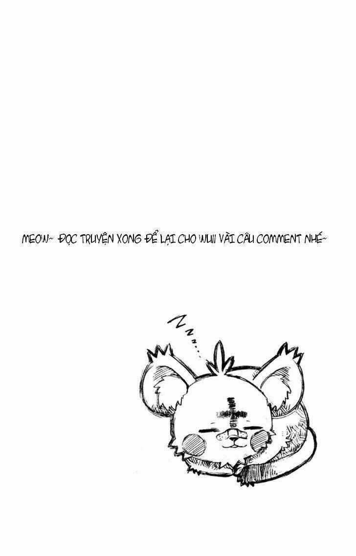 Tripeace Chapter 2 trang 49