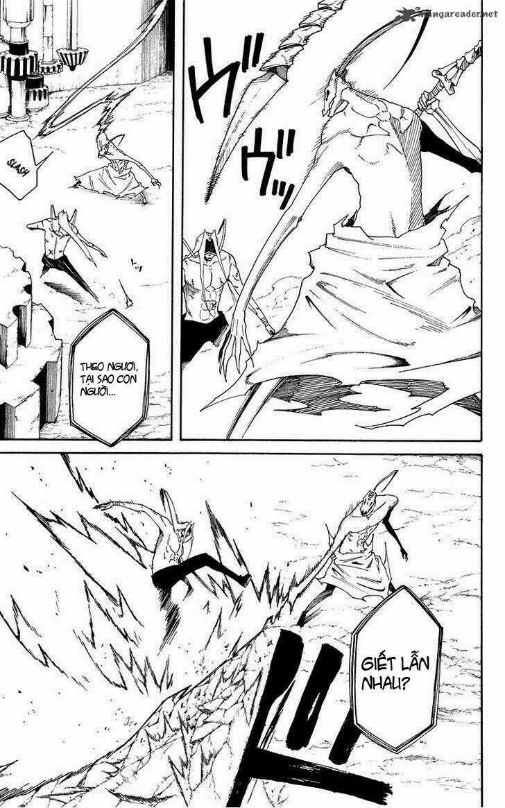 Tripeace Chapter 42 trang 5